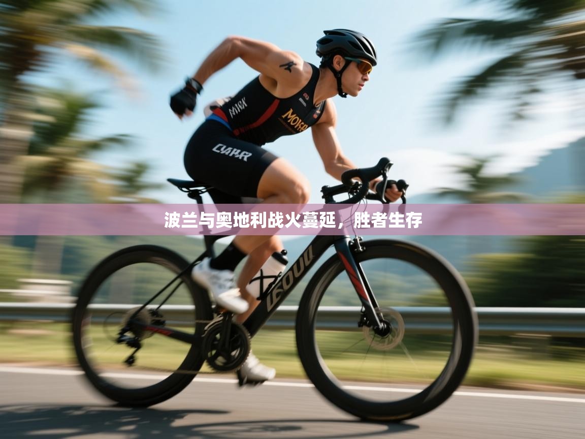 波兰与奥地利战火蔓延，胜者生存  第1张