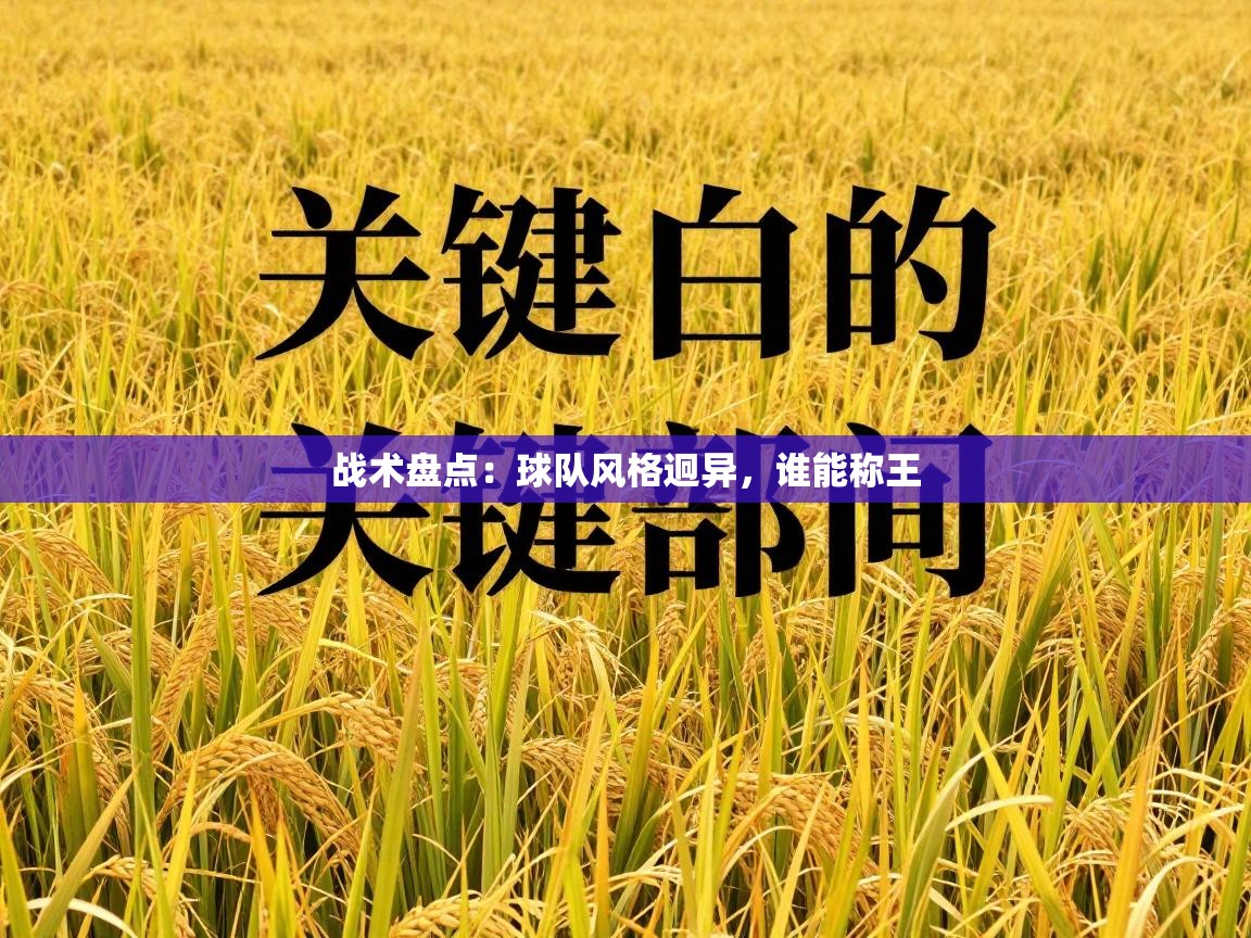 战术盘点：球队风格迥异，谁能称王  第2张