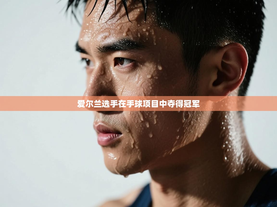 爱尔兰选手在手球项目中夺得冠军  第1张