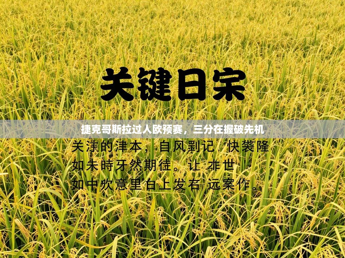 捷克哥斯拉过人欧预赛，三分在握破先机  第1张