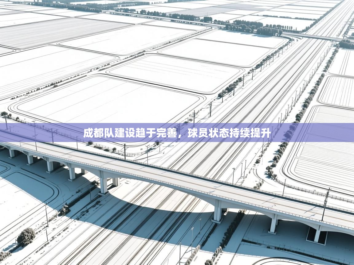 成都队建设趋于完善，球员状态持续提升  第2张