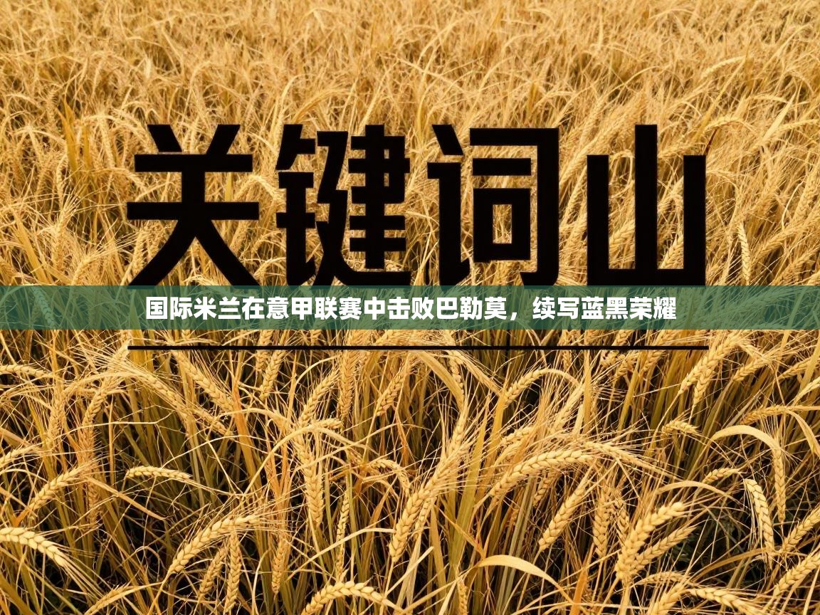 国际米兰在意甲联赛中击败巴勒莫，续写蓝黑荣耀  第2张