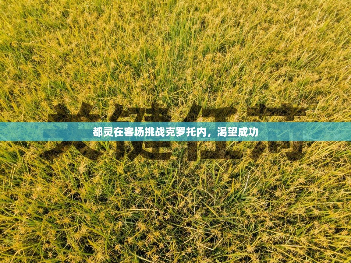 都灵在客场挑战克罗托内，渴望成功  第1张