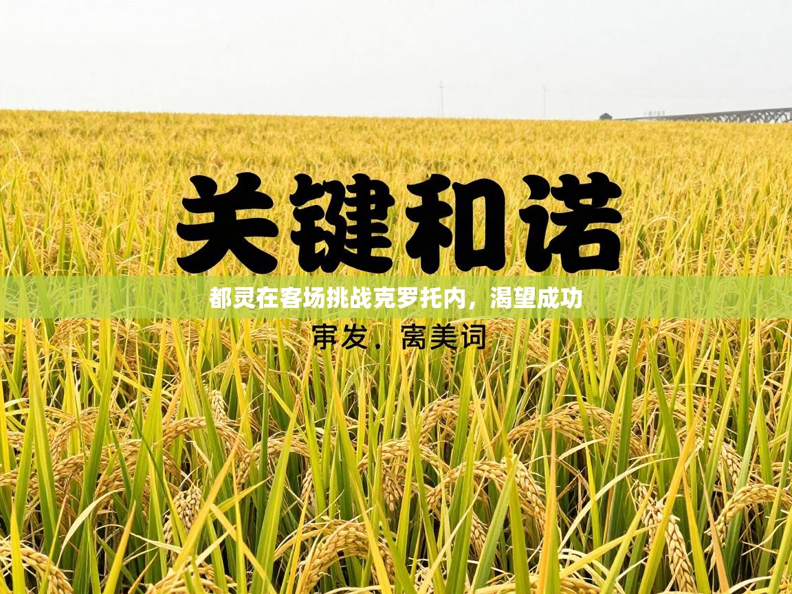 都灵在客场挑战克罗托内，渴望成功  第2张