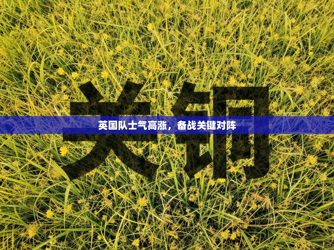 英国队士气高涨,备战关键对阵 第1张