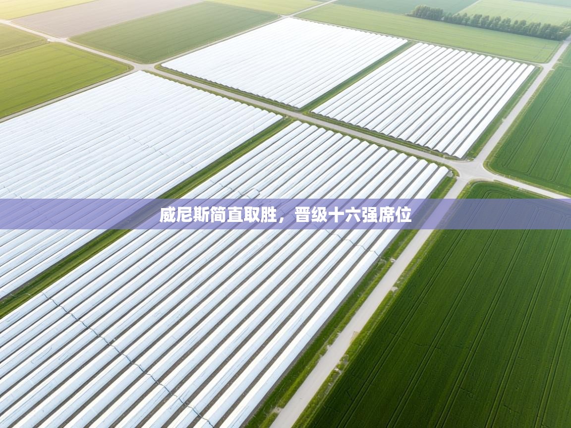 威尼斯简直取胜,晋级十六强席位 第1张