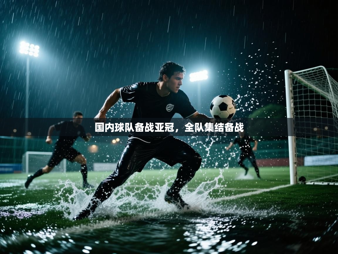 国内球队备战亚冠,全队集结备战 第2张