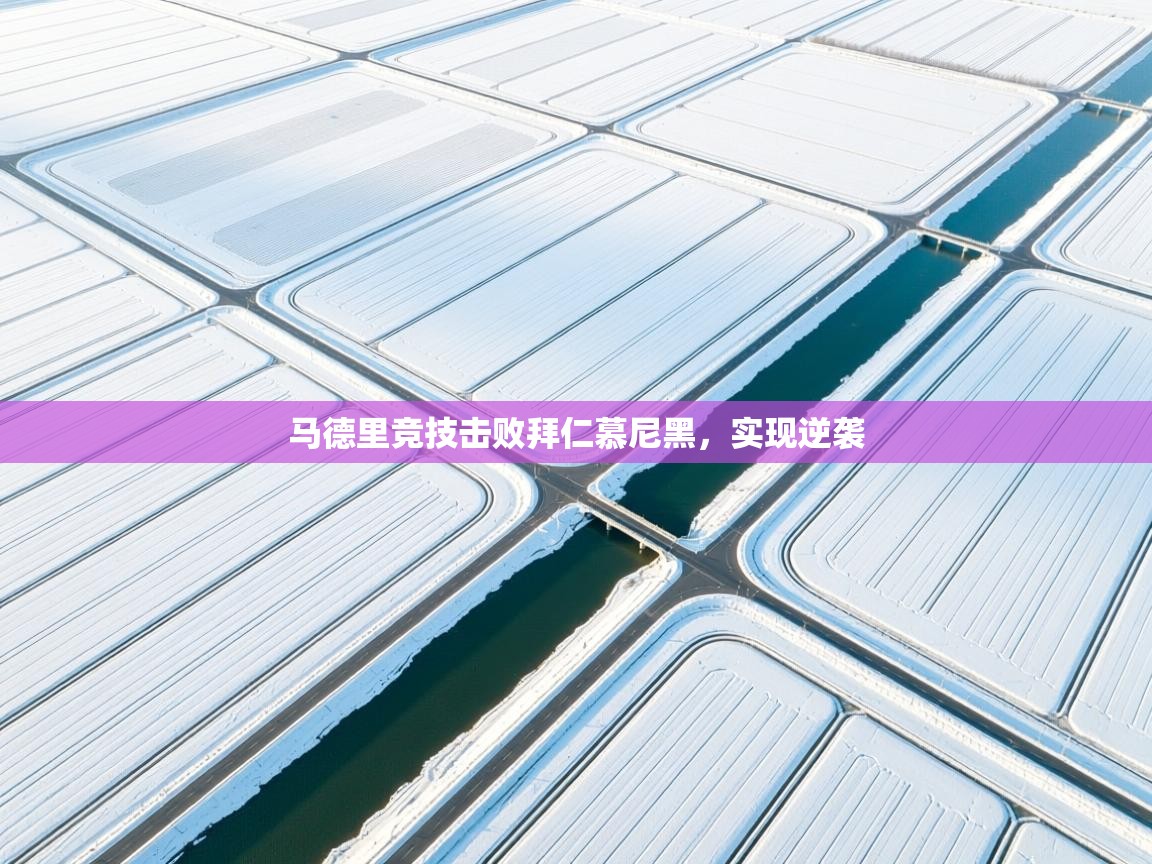 马德里竞技击败拜仁慕尼黑,实现逆袭 第1张